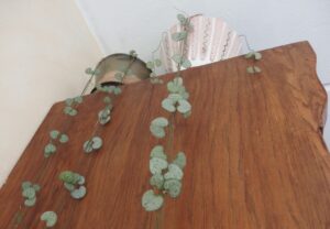 String of hearts, nalatenschap van overleden klasgenote